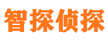 平房侦探公司